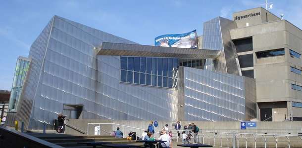 New England Akvaryumu’nu görün 