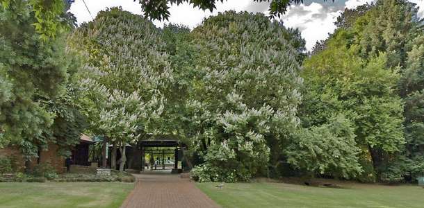 Botanik Bahçesi’nde orman havası soluyun 