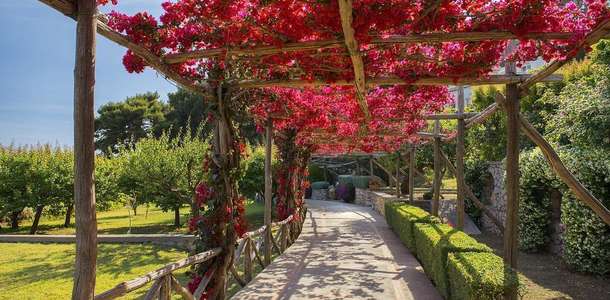 Bougainville Parkı’nda çimenlere yayılın