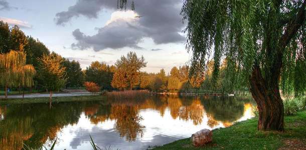 Botanik bahçesine gidin