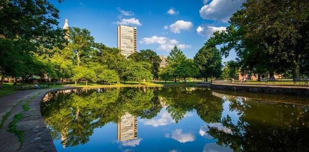 Bushnell Parkı’nda ağaçlı yolda yürüyüş yapın