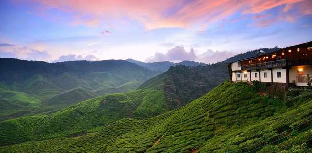 Cameron Highlands bölgesini keşfedin 