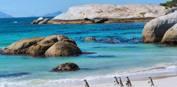 Boulder Plajı’nda penguenlerle güneşlenin  