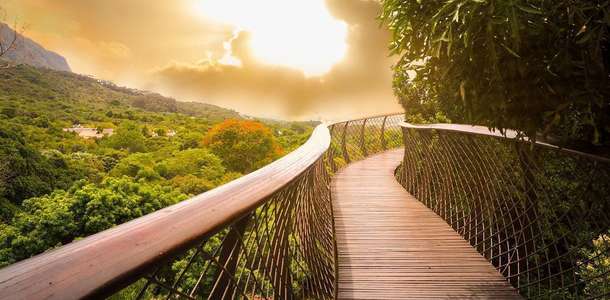 Kirstenbosch Botanik Bahçesi’nde doğanın yüzlerce rengine şahit olun 