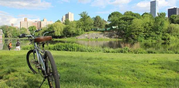 Central Park’ta bisikletle gezin  