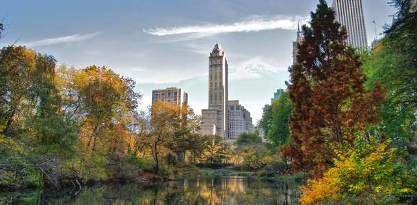 Central Park'ta doğa yürüyüşü yapın