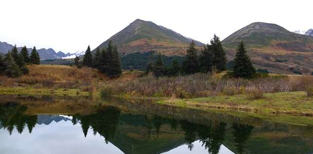 Chugach Eyalet Parkı’nda doğa manzaralarını seyredin