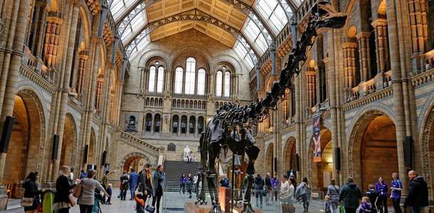 Cihad Müzesi’ndeki eserleri inceleyin