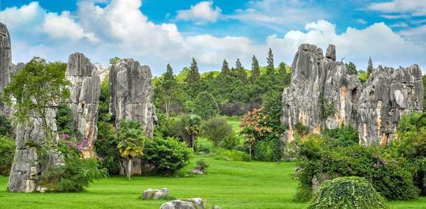Fuzhou Ulusal Orman Parkı'nı ziyaret edin