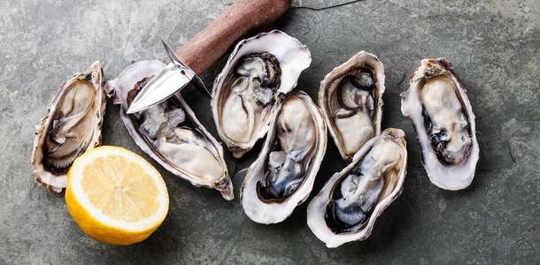 Colchester İstiridyesi