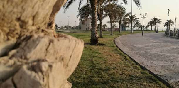 Dammam Cornishe’de piknik yapın