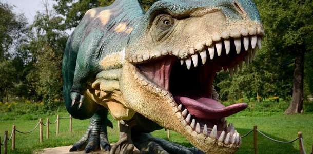Dino Park