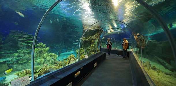 Discovery World Akvaryumu