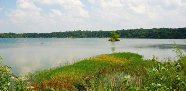Eagle Creek Doğa Parkı’nda aktivite dolu bir gün geçirin