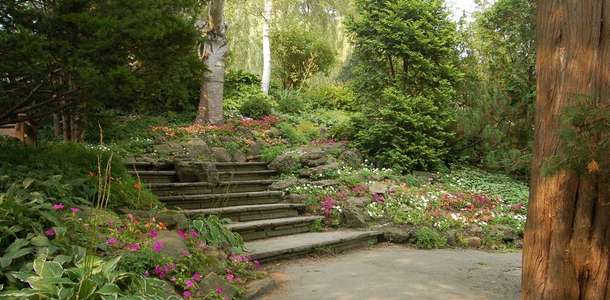 Edwards Gardens’da bahçeleri gez