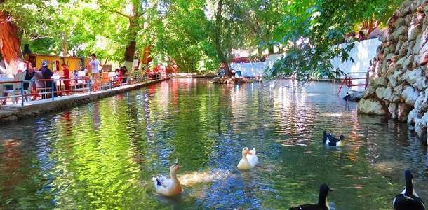 Ekinözü (Cela) İçmeleri