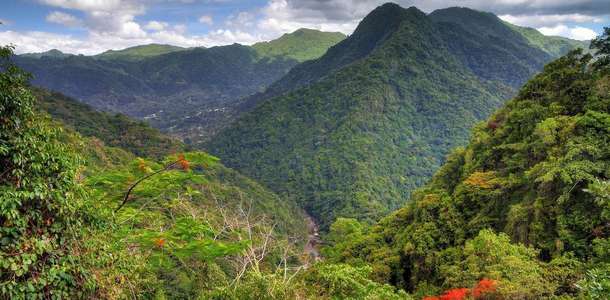 El Yunque Yağmur Ormanları’nda gezintiye çıkın
