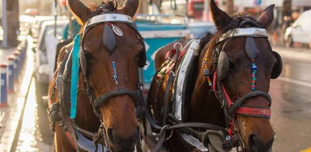 Faytonla şehirde gece turuna çıkın