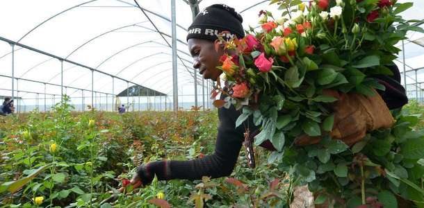 Lusuka International Festival of The Earth’e katılın