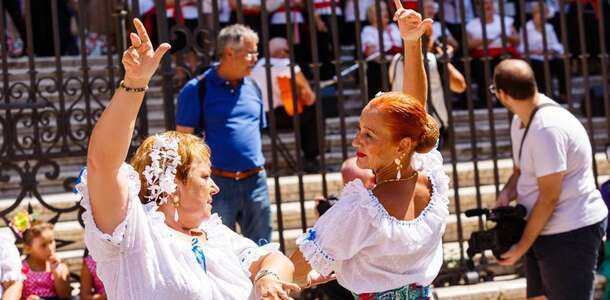 Flamenko gösterilerinin tadını çıkarın  