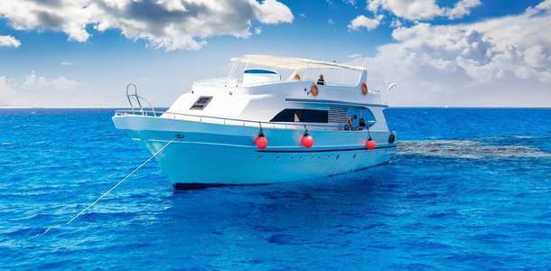 Sealine Center'da denizaltı canlılarını inceleyin