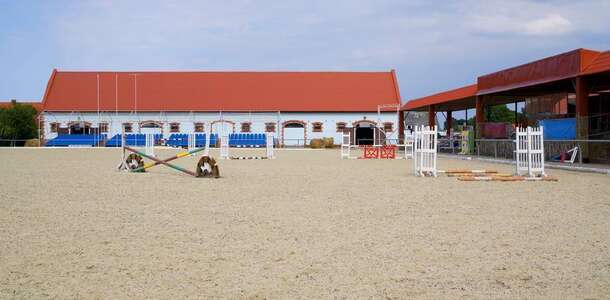 Georgenburg Stud Çiftliği’nde yürüyüşe çıkın