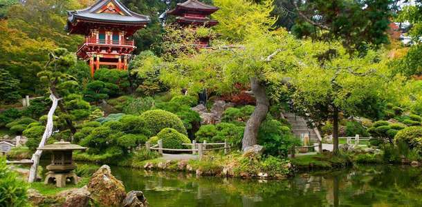 Golden Gate Parkı’nda manzarayı izleyin