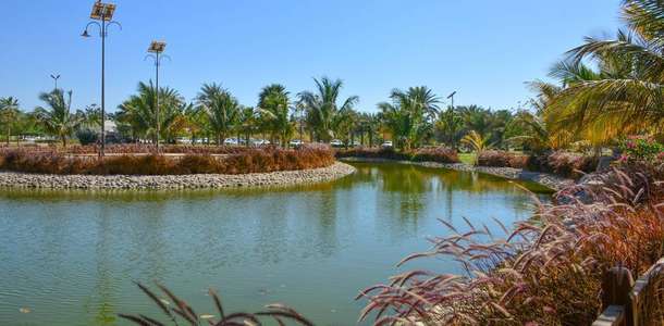 Barracuda Plajı’nda denize girin