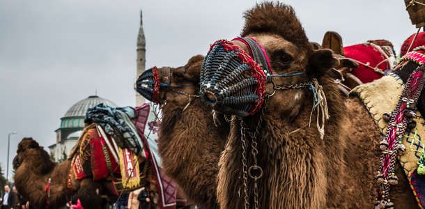 Yöresel festivallerde eğlenceyi doyasıya yaşayın