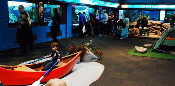 Great Lake Aquarium’u görün