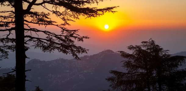 Kuş seslerinin peşine takılın