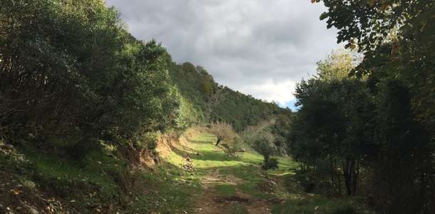 Hacıllı Köyü ve Kalemköy