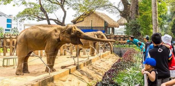 Sagion Botanik ve Hayvanat Bahçesi