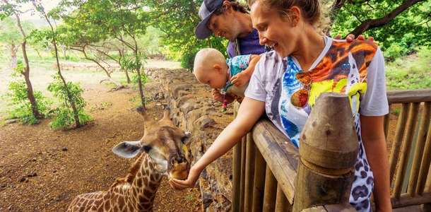 Kabil Hayvanat Bahçesi’nde zaman geçirin