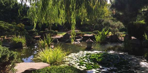 Himeji Bahçesi’nde Japon bahçe sanatının örneklerine şahitlik edin  
