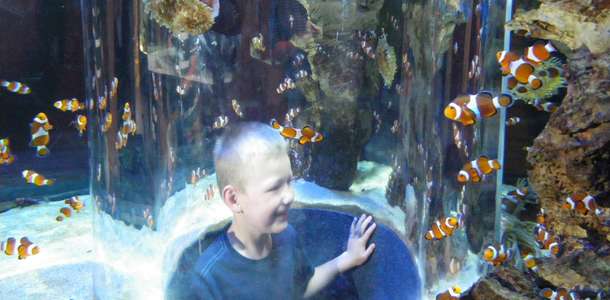 İki Okyanus Akvaryumu