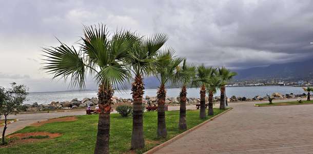 Körfez’in sahilinde vakit geçirin 