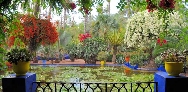 Jardin Majorelle: