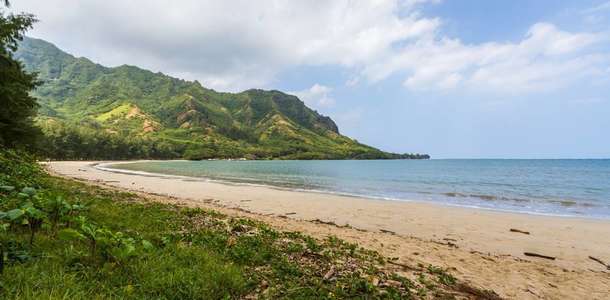 Kahana Beach Park’ta sörf yapın