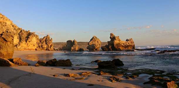 Kanguru Adası’nda sevimli kanguruları ziyaret edin  