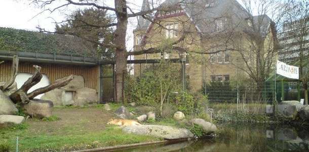 Karlsruhe Hayvanat Bahçesi