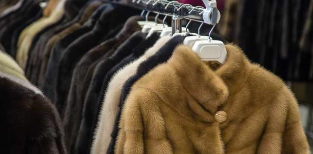 Kürkleriyle ünlü şehrin kürk mağazalarını gezin