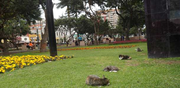 Kennedy Parkı