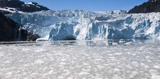 Kenai Fjords Milli Parkı’nda tekne turu yapın