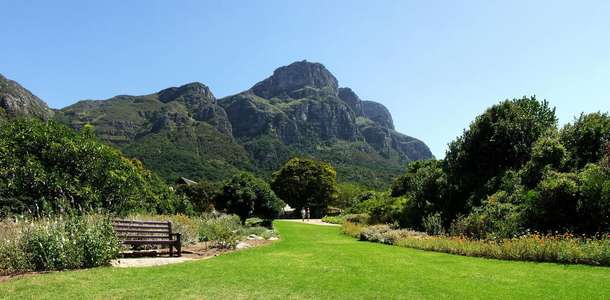Kirstenbosch Ulusal Botanik Bahçeleri
