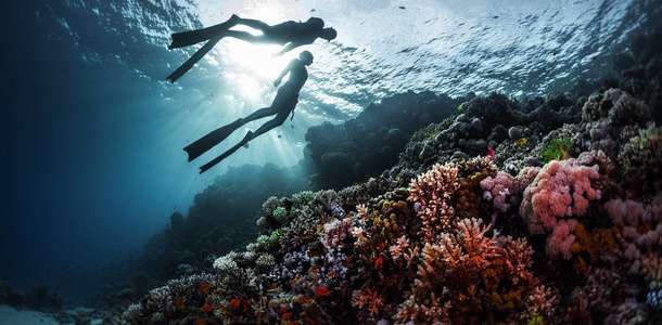 Kızıldeniz’de tekne turuna çıkın, dalış yapın
