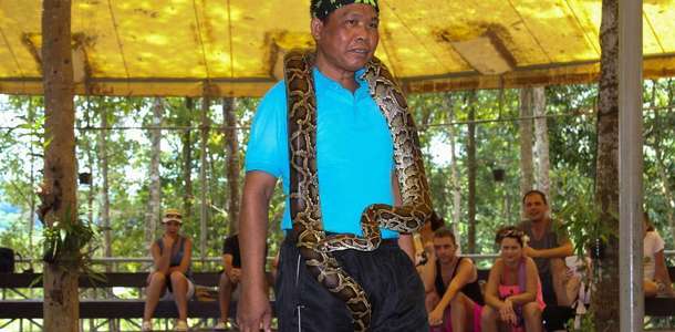 Koh Samui Yılan Çiftliği