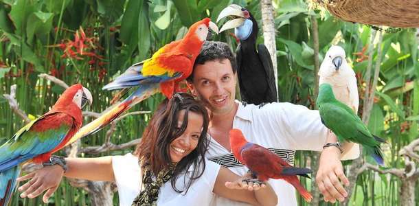 Bali Kuş Parkı’nda harika bir gün geçirin