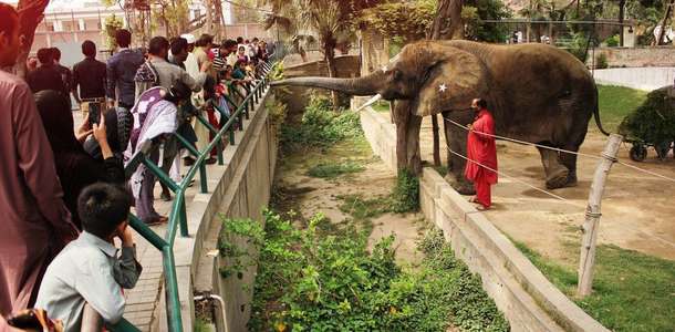 Hayvanat bahçesinde eğlenin
