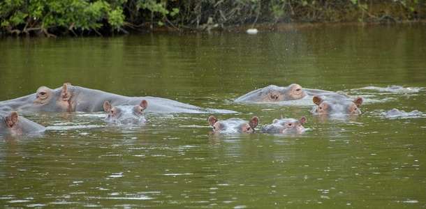 Mburo Gölü Doğal Parkı